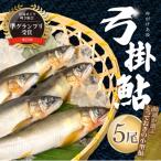 2026年7月上旬頃から発送 幻の弓掛鮎 5尾以上