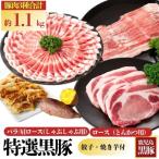 ふるさと納税 肝付町 特選黒豚(約1.1kg)・黒豚餃子(3パック)・冷凍やきいも(約800g)セット　B02072