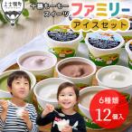 ふるさと納税 上士幌町 十勝もーもースイーツ ファミリーアイス 6種セット 計12個 北海道 アイスクリーム スイーツ