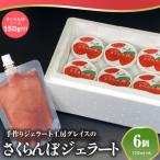 ふるさと納税 米沢市 山形県産 プレミアム さくらんぼ ジェラート 6個 ( 1個 120ml )