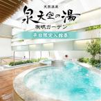 泉天空の湯 有明ガーデン 平日 入館券