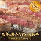 百年の恵み おおいた和牛 A5 ロースステーキ用 300g×4枚