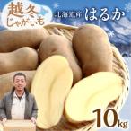 ショッピングふるさと納税 先行予約 ふるさと納税 清水町 先行予約!ホクホク あま〜い!低温貯蔵!北海道産 越冬じゃがいも はるか 約10kg