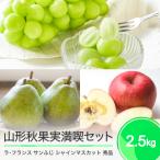 ふるさと納税 大石田町 シャインマスカット サンふじ ラ・フランス 秀品 詰め合わせ 2.5kg 化粧箱入り 2025年産