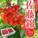 ふるさと納税 河北町 【令和7年産】さくらんぼ 佐藤錦1kg(500g×2パック) L玉以上 ギフト箱入 秀品 山形県