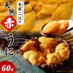 ふるさと納税 天草市 天草二江の天然赤うに 60g_S157-004