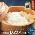 ふるさと納税 玖珠町 《先行受付》令和7年産 原農園 JAZZ米 白米 4kg 6回定期便