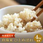 ふるさと納税 玖珠町 特別栽培米 玖珠米 ひとめぼれ 4kg(玄米)