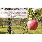 りんご狩り りんご収穫体験 生ジュース搾り体験