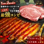 ふるさと納税 都農町 ≪定期便≫\1か月に2回お届け!!/宮崎牛ロースステーキ×うなぎ蒲焼★最強コンビ_T999-0022
