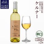 天然ワイン醸造 酸化防止剤無添加 天然葡萄酒