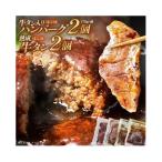 ふるさと納税 蔵王町 牛タン入りハンバーグ(和風・デミグラス)&柔らか牛タン(タレ・塩)セット【04301-0757】