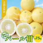 〈先行受付〉農家の手摘み パール柑 約7.5kg_S040-022A