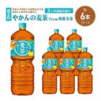 やかんの麦茶from爽健美茶 2L