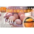 fu.... налог магазин . блок [3. месяц продолжение доставка ]... лес. Tama . утро .. яйцо 40 шт [04301-0325]