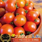 <約2.4kg> 訳ありフルティカトマト
