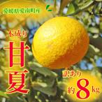ふるさと納税 愛南町 訳あり 甘夏 8kg 愛媛県 愛南町 愛南町青果市場