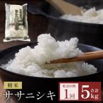 ふるさと納税 石巻市 米 令和7年産 ササニシキ 精米 5kg 単品 こめ コメ お米 ご飯 白米 ささにしき