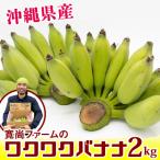 寛尚ファームのワクワクバナナ 2kg
