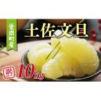 訳あり 河内晩柑 10kg