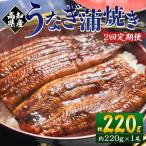 産養殖うなぎ蒲焼き 約220g×1尾