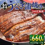 産養殖うなぎ蒲焼き 約220g×3尾