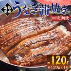 きざみうなぎ 100g