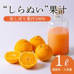 濃厚な甘さ しらぬいの手搾り果汁1L 業務用