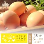 平飼い有精卵 たつかの恵み 40個×3ヶ月連続お届け