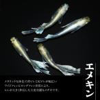 メダカ エメキン 4匹セット