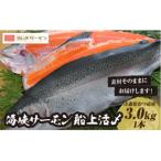 海峡サーモン船上活〆3.0kg1本 冷蔵