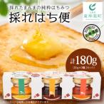 採れはち便 30g×3個入り×2