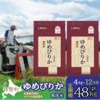無洗米4kg ホクレンゆめぴりか 無洗米2kg×2袋