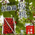 ふるさと納税 上山市 さくらんぼ(佐藤錦)1kg ご家庭用 0079-2501