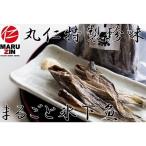 ふるさと納税 根室市 ＜12/21まで年内配送＞★まるごと骨まで食べれる氷下魚(こまい)6袋セット A-50009