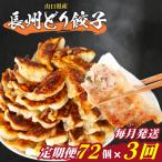 訳あり 長州どり餃子 3回 毎月 定期便 72個