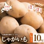 fu.... налог .. блок <2026 год 9 месяц последняя декада .. доставка > Hokkaido .. блок производство картофель (...)L размер 10kg SBTN005
