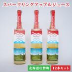 スパークリングアップルジュース12本セット