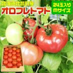 fu.... налог .. блок &lt;2026 год 3 месяц сверху ... последовательный доставка &gt;orofre помидор 24 шар ввод (M размер ) SBTA028