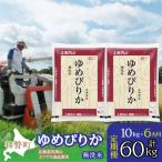 無洗米10kg ホクレンゆめぴりか 無洗米5kg×2袋
