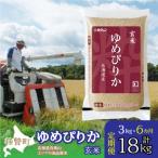 玄米3kg ホクレンゆめぴりか SBTD071