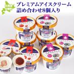 プレミアムアイスクリーム詰め合わせ8個入り6ヶ月連続お届け