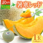 ふるさと納税 雨竜町 【令和8年産先行受付】【訳あり】 北海道メロン 暑寒レッド 1玉 (1.6kg以上×1箱)フルーツ