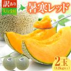 ふるさと納税 雨竜町 先行受付2025年 訳あり 北海道メロン 暑寒レッド 2玉 (3.2kg以上×1箱)フルーツ