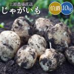 ふるさと納税 中標津町 上原農場直送　じゃがいも(伯爵) 10kg【S〜2Lサイズ混合】【6600301】