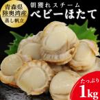 ふるさと納税 むつ市 陸奥湾産　ボイルベビーほたて　1kg