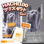 HACHI100グッズセット HACHI100オリジナルピンバッジ