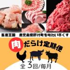 ふるさと納税 肝付町 肝付町セレクト定期便《肉だらけ定期便A》【毎月・全3回】 E90001