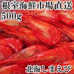 根室 市場 北海しまえび500g×1P B-28127