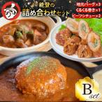 能登の詰め合わせセットB 煮込み ハンバーグ